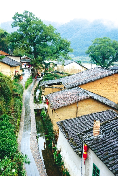 石圳村人口_人口普查图片(3)
