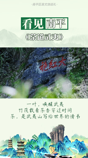 茶道武夷